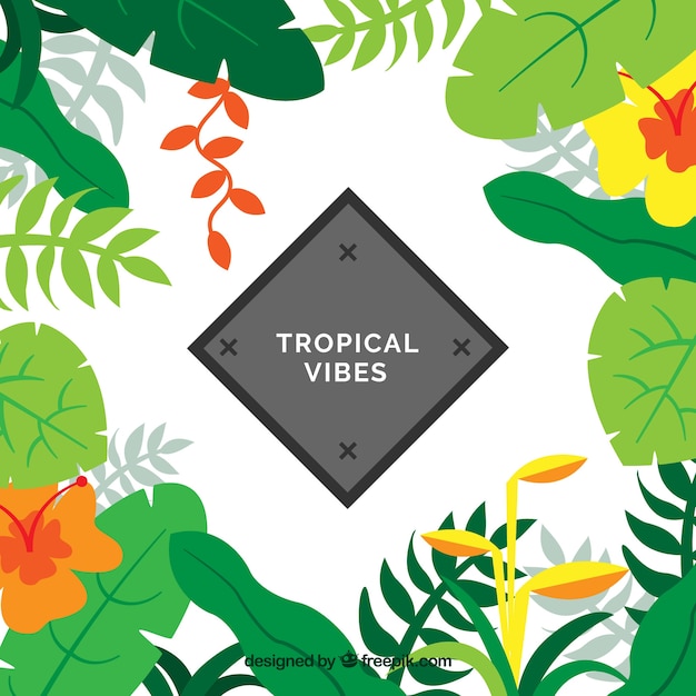 Fond Tropical Avec Des Plantes Colorées