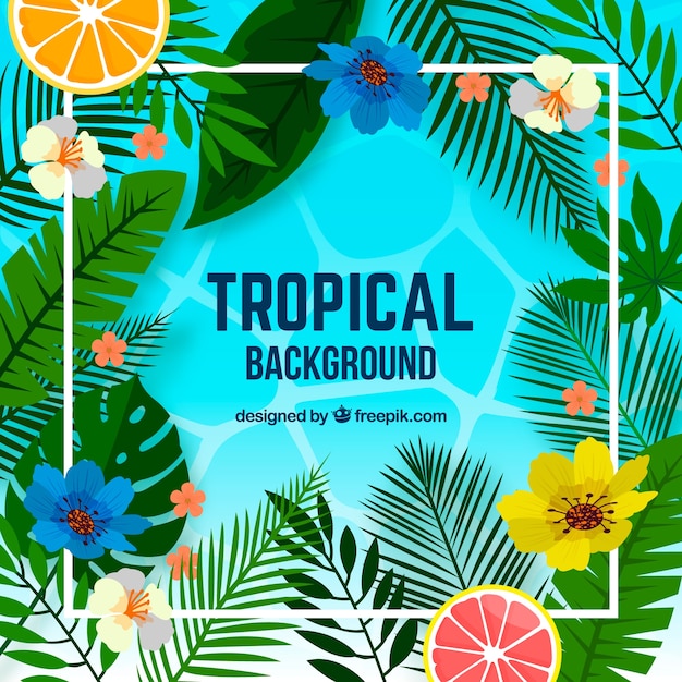 Vecteur gratuit fond tropical avec des plantes et des fruits