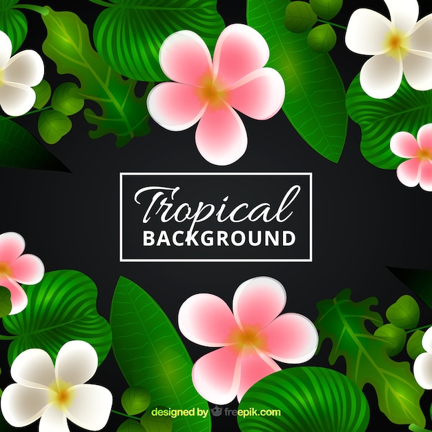 Vecteur gratuit fond tropical avec des plantes réalistes