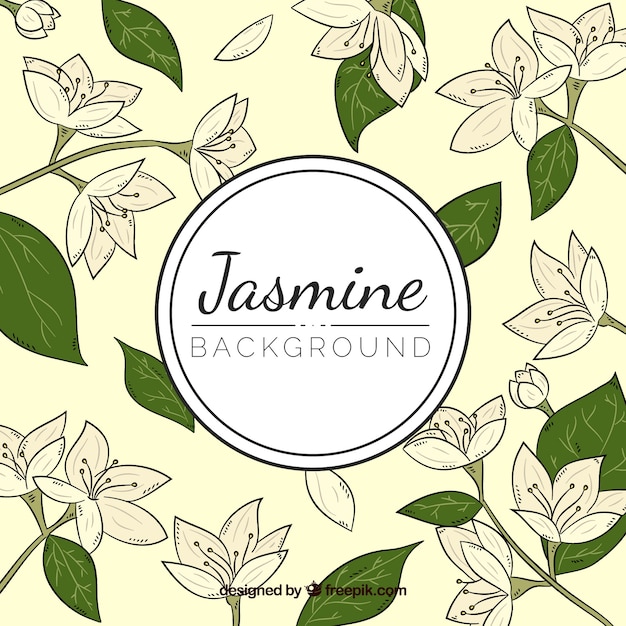 Vecteur gratuit fond vintage de jasmins dessinés à la main