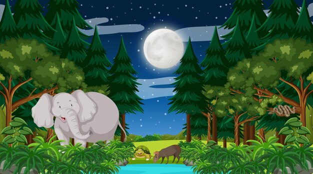 Forêt la nuit avec un gros éléphant et d'autres animaux