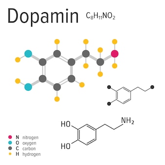 Formule chimique, structure et modèle de la molécule de dopamine, illustration vectorielle