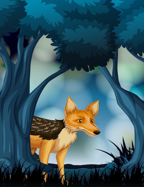 Fox dans la scène de la nature sombre