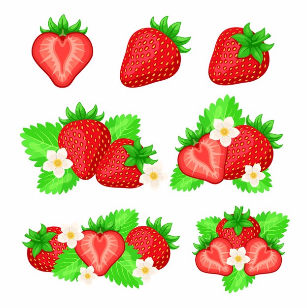 Fraise avec jeu d'illustration de dessin animé de feuilles vertes. Baies fraîches mûres rouges entières et tranchées avec des fleurs isolées sur fond blanc. Nourriture saine, été, concept de vitamines