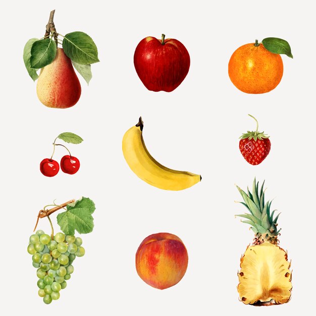 Fruits tropicaux mélangés dessinés à la main