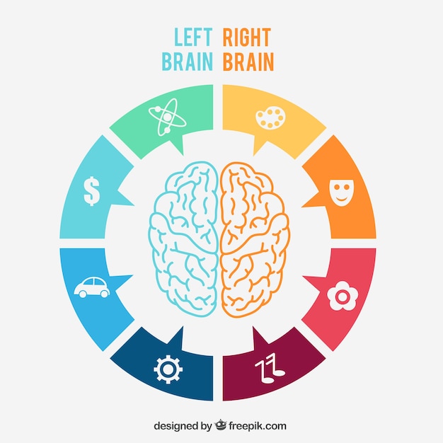 Vecteur gratuit gauche et cerveau droit infographie