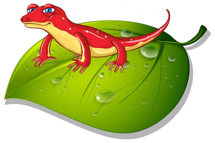 Vecteur gratuit gecko rouge sur feuille verte