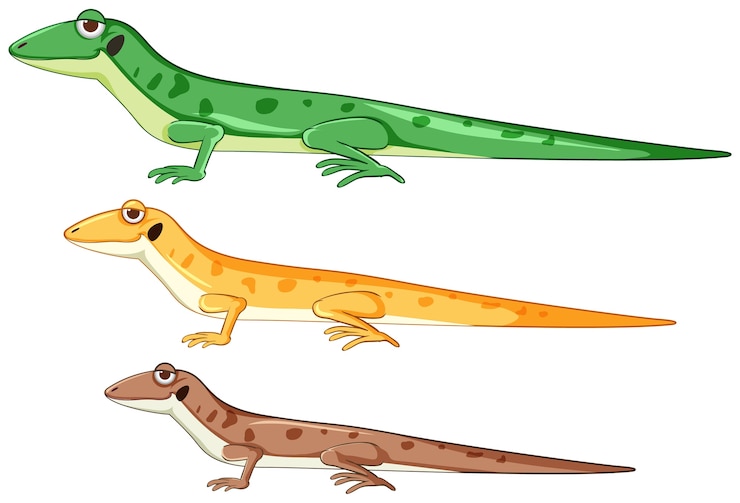 Vecteur gratuit geckos ou lézards dans un style de dessin animé de couleur différente isolé
