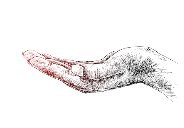 Geste de la main ouverte vide isolé sur fond blanc fond de vecteur de croquis dessinés à la main
