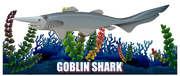 Gobelin Requin Créature Des Profondeurs Marines