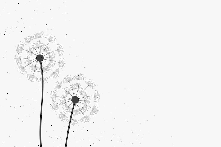 Vecteur gratuit graines de fleurs de pissenlit de printemps en vecteur de fond blanc