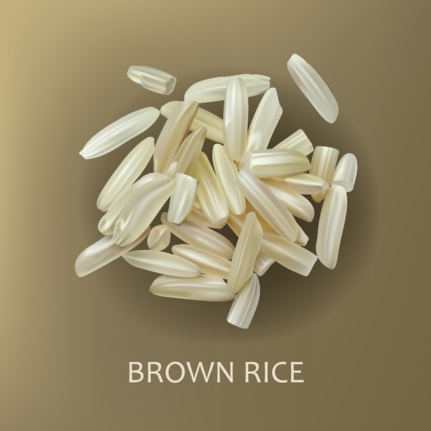 Vecteur gratuit grains de riz brun
