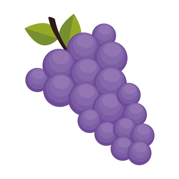 Vecteur gratuit grapes fresh fruits healthy icon