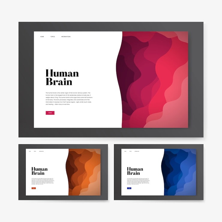 Vecteur gratuit graphique de site web informatif du cerveau humain