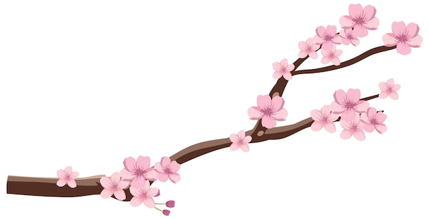 Vecteur gratuit graphique vectoriel de fleur de cerisier japonais
