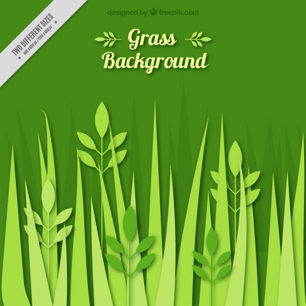 Vecteur gratuit grass background style plat