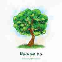 Vecteur gratuit green tree aquarelle