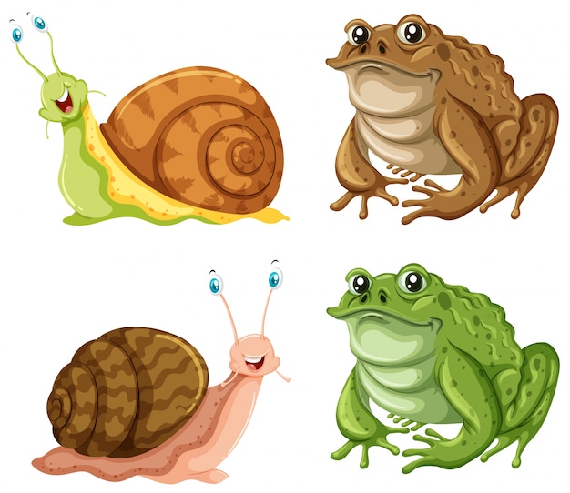 Vecteur gratuit grenouilles et escargots sur fond blanc illustration