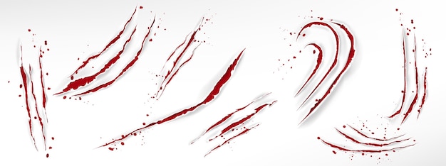 Griffes de chat avec des gouttes de sang, des barres rouges déchirées par un animal sauvage
