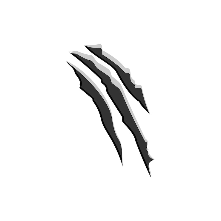 Vecteur gratuit des griffes grattent les ongles d'animaux sauvages illustration vectorielle
