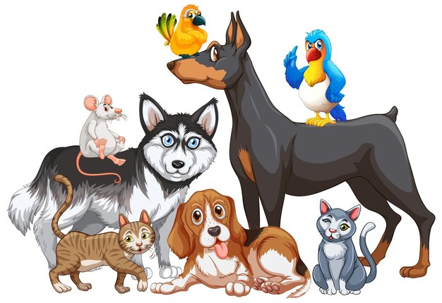 Groupe d'animaux de compagnie