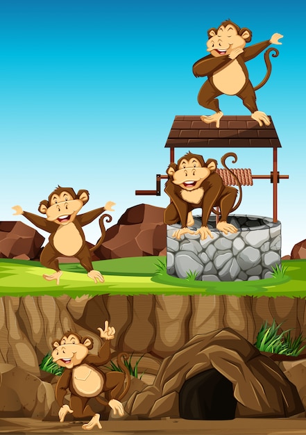 Groupe De Singes Sauvages Dans De Nombreuses Poses En Style Cartoon Animal Park Sur Fond De Jour