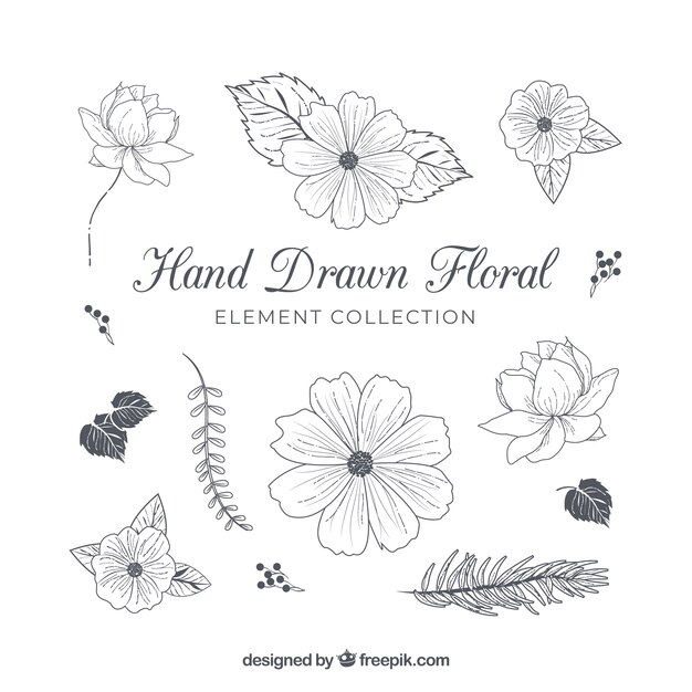 Hand Drawn Floral Elements Collection