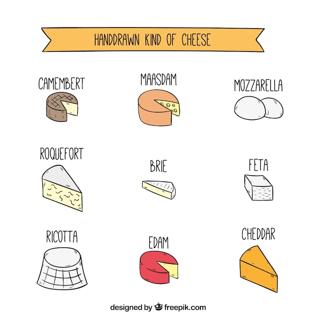 Vecteur gratuit hand drawn type de fromage