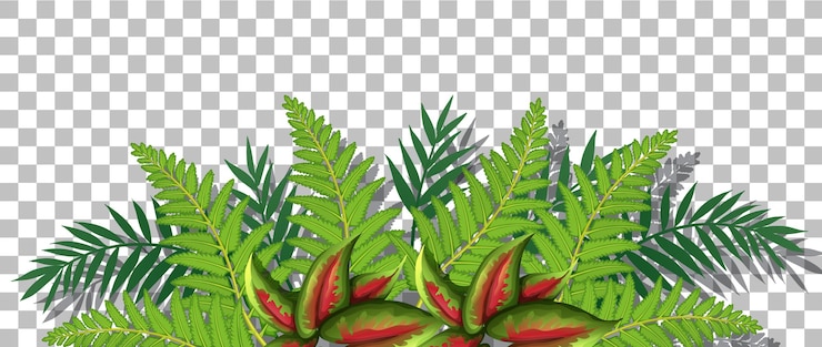 Vecteur gratuit herbe et plantes sur fond transparent pour la décoration