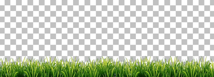 Vecteur gratuit herbe verte sur fond transparent