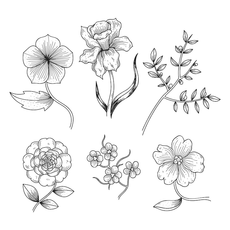Vecteur gratuit herbes dessinées à la main réalistes et fleurs sauvages