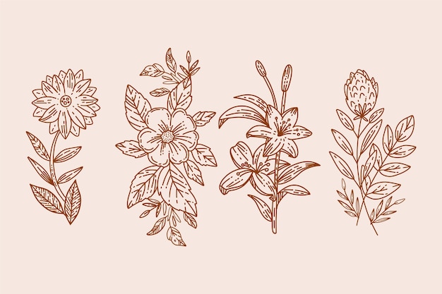 Herbes dessinées à la main réalistes et fleurs sauvages