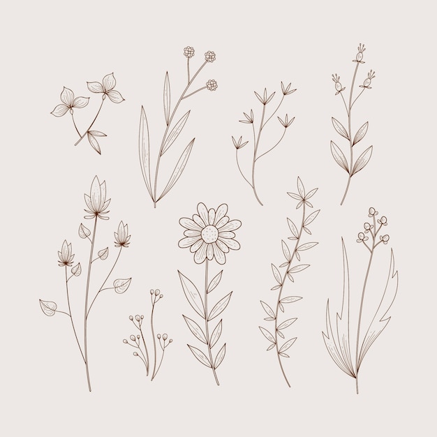 Herbes Et Fleurs Sauvages Dans Un Style Design Rétro