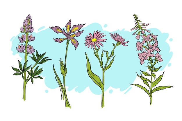 Herbes Réalistes Dessinées à La Main Et Fleurs Sauvages