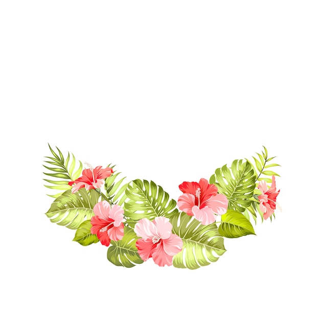 Vecteur gratuit hibiscus et monstera sur backgroun blanc