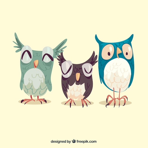 Hibou Pack De Trois