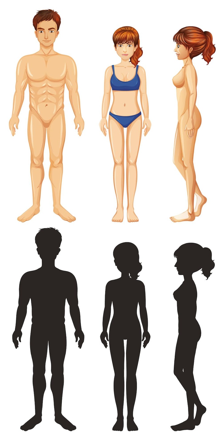 Vecteur gratuit homme et femme avec silhouette sur fond blanc