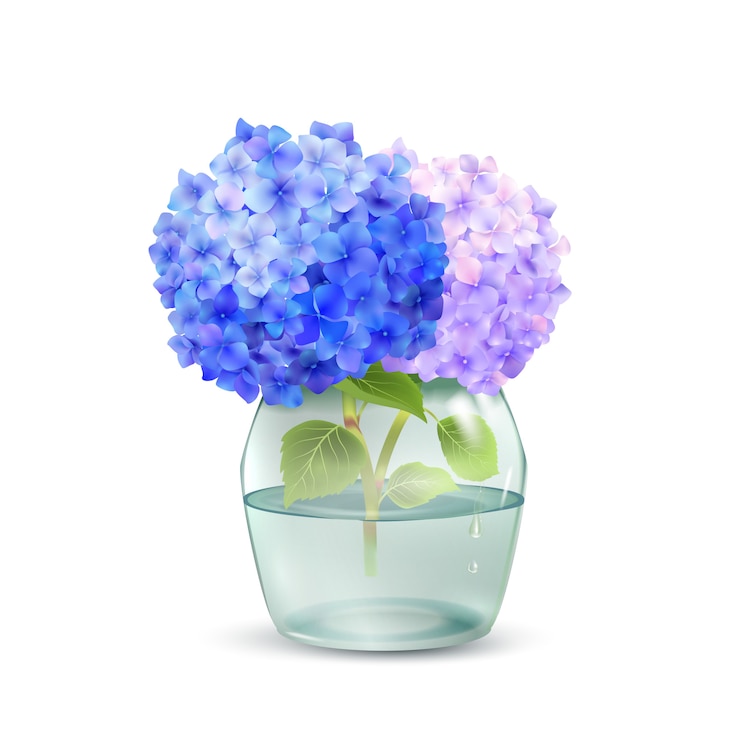 Vecteur gratuit hortensia en bocal