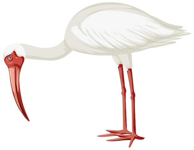 Vecteur gratuit ibis blanc américain isolé