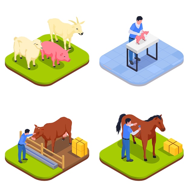 Vecteur gratuit icône isométrique vétérinaire d'animaux de ferme sertie de vacciner un cochon thérapeute avec un cheval différents animaux et vétérinaire avec une illustration vectorielle de vache