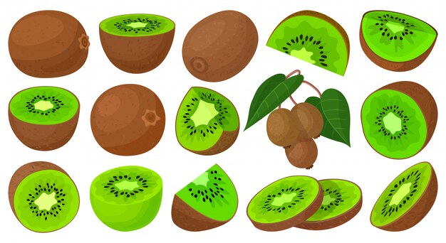 Icone De Jeu De Dessin Anime De Kiwi Fruits Illustration Sur Fond Blanc Dessin Anime Mis Icone Kiwi Vecteur Premium