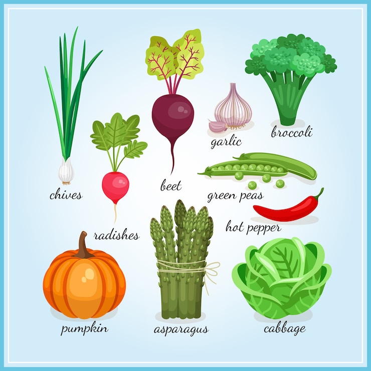 Vecteur gratuit icônes de légumes frais sains avec des noms dont ciboulette radis ail brocoli citrouille asperges et chou illustrations vectorielles colorées