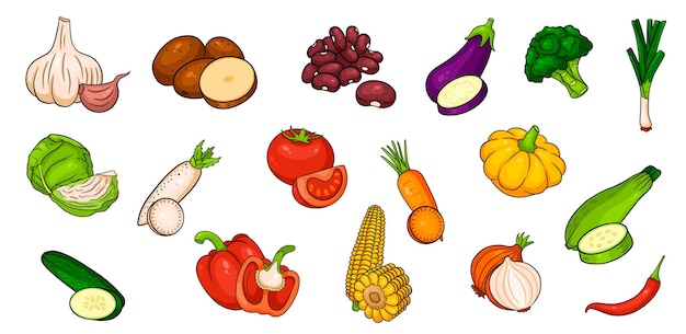 Icônes de légumes vectoriels en style cartoon. grande collection de produits fermiers pour les menus et les étiquettes du marché.
