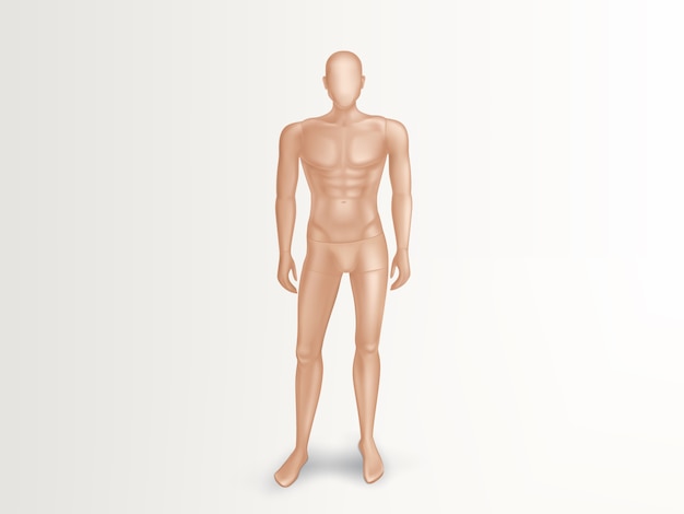 Vecteur gratuit illustration 3d du mannequin masculin, corps complet nu de l'homme.