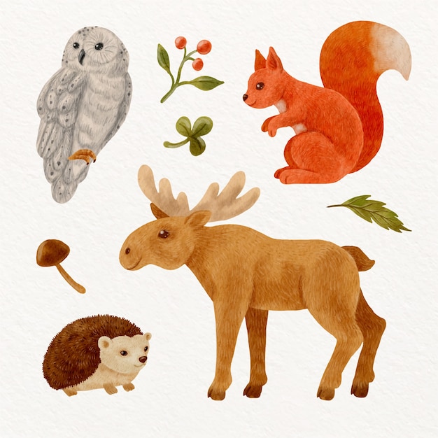 Illustration d'animaux de la forêt aquarelle