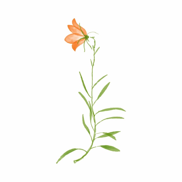 Vecteur gratuit illustration à l'aquarelle fleur