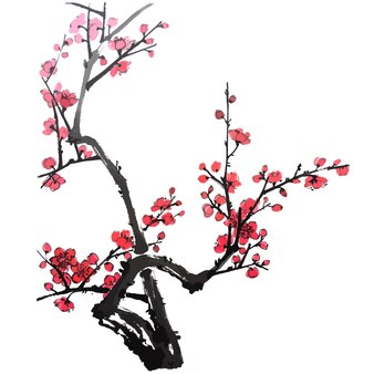 Illustration aquarelle vectorielle de la branche d'un arbre fruitier en fleurs
