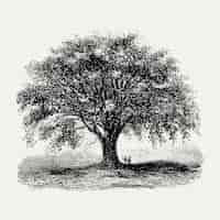 Vecteur gratuit illustration d'arbre vintage