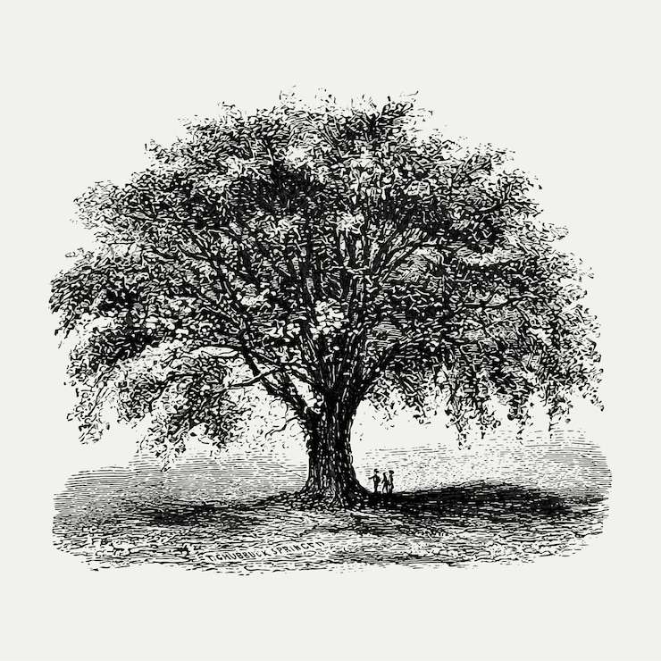 Vecteur gratuit illustration d&#39;arbre vintage