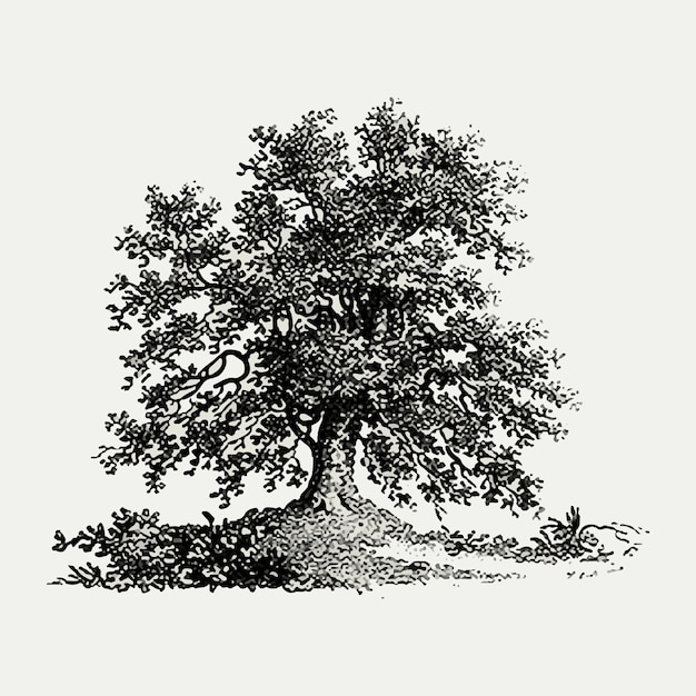 Vecteur gratuit illustration d'arbre vintage